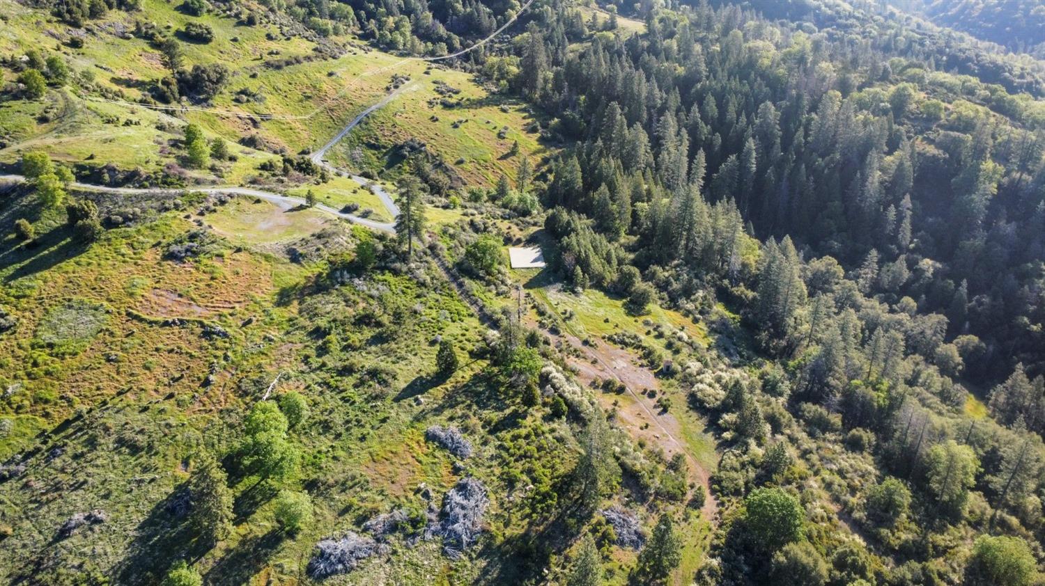 5281 8 Mile Road Camino, CA 95709 - Photo 14 of 20 a view of a yard of a house