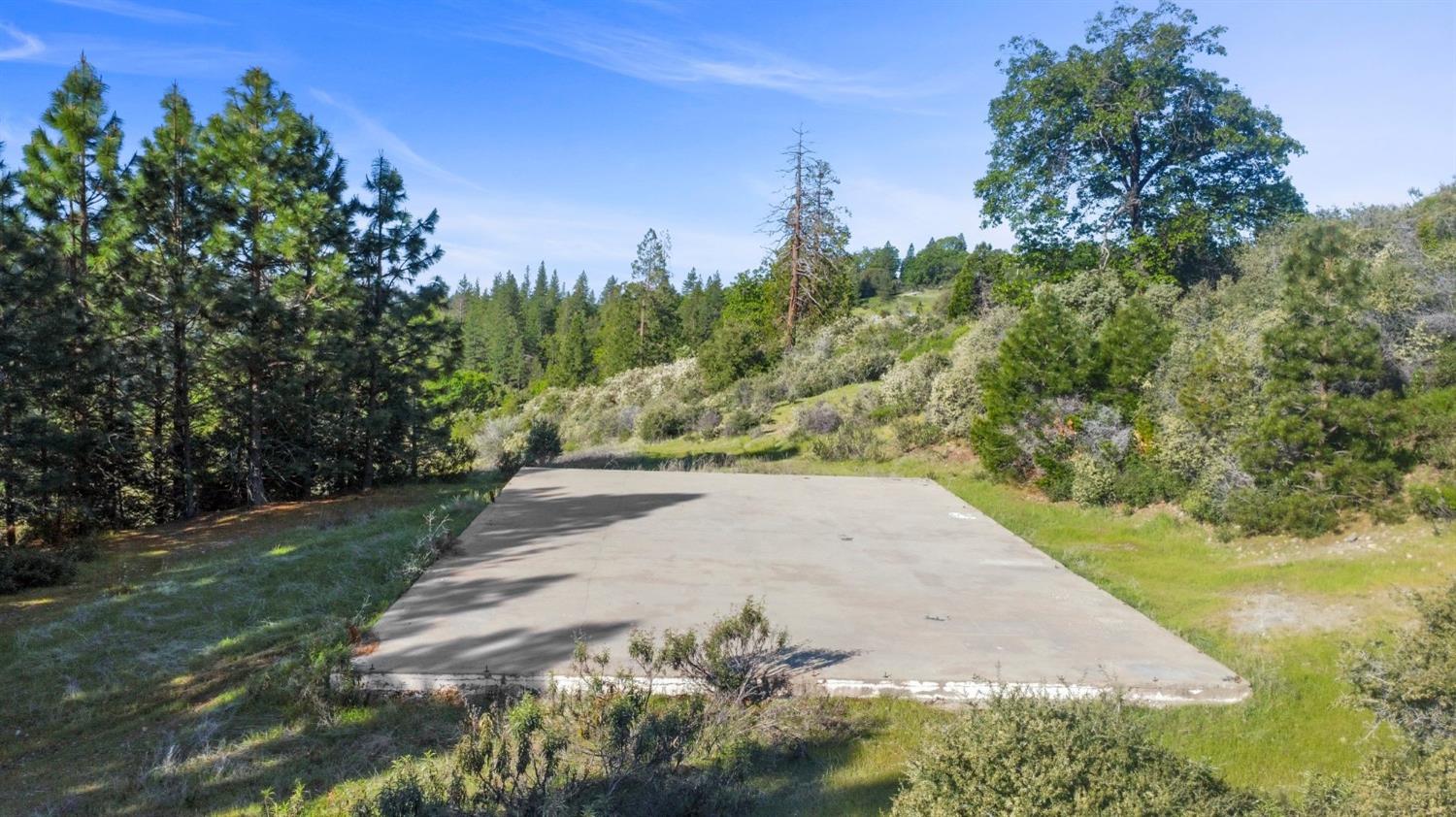 5281 8 Mile Road Camino, CA 95709 - Photo 16 of 20 a view of a yard with a tree