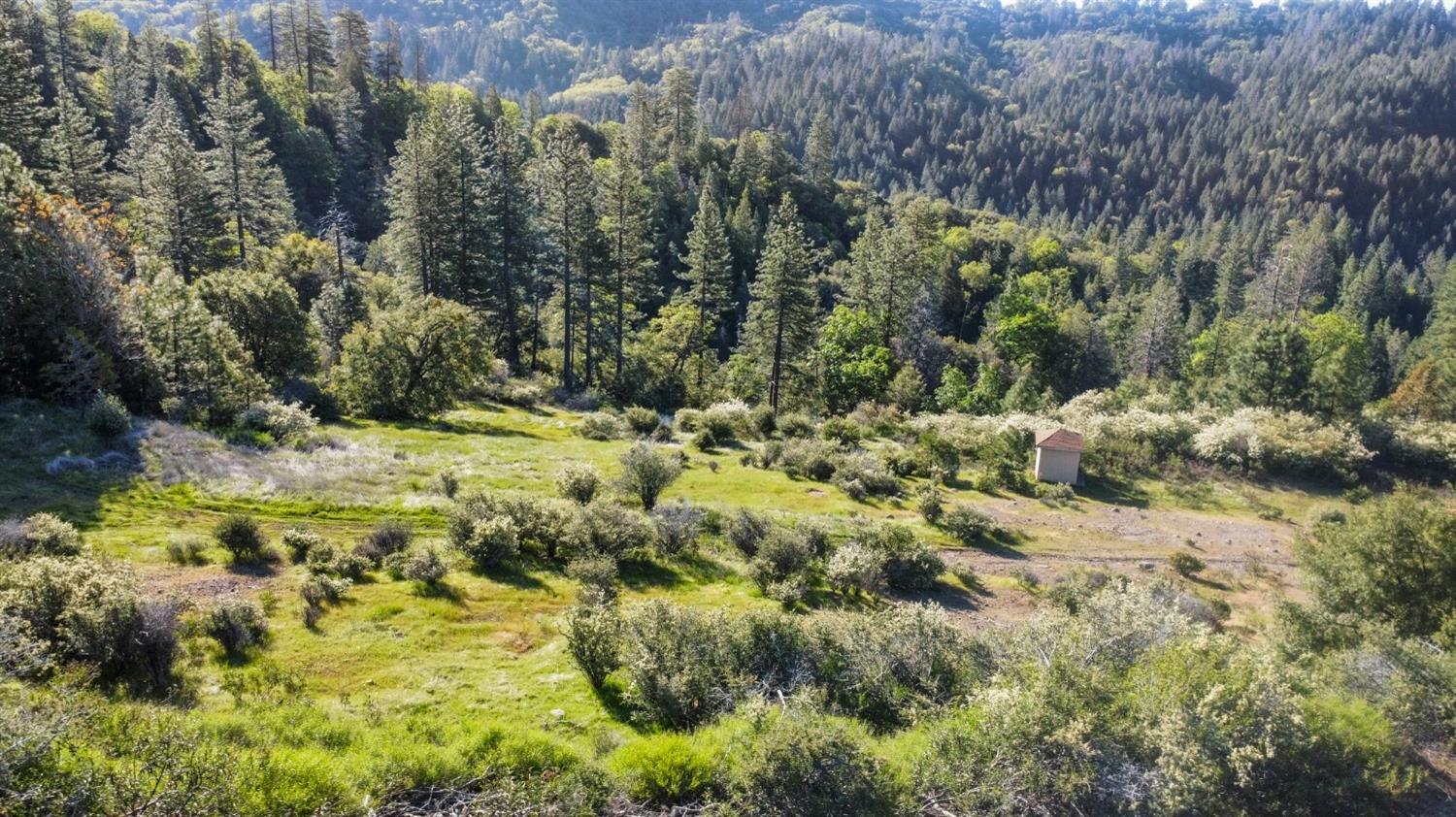 5281 8 Mile Road Camino, CA 95709 - Photo 18 of 20 a view of a bunch of trees and bushes