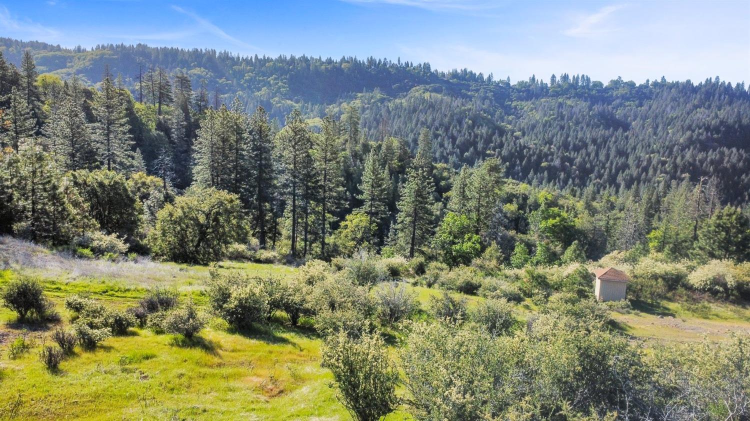 5281 8 Mile Road Camino, CA 95709 - Photo 19 of 20 a view of a yard with mountains in the background
