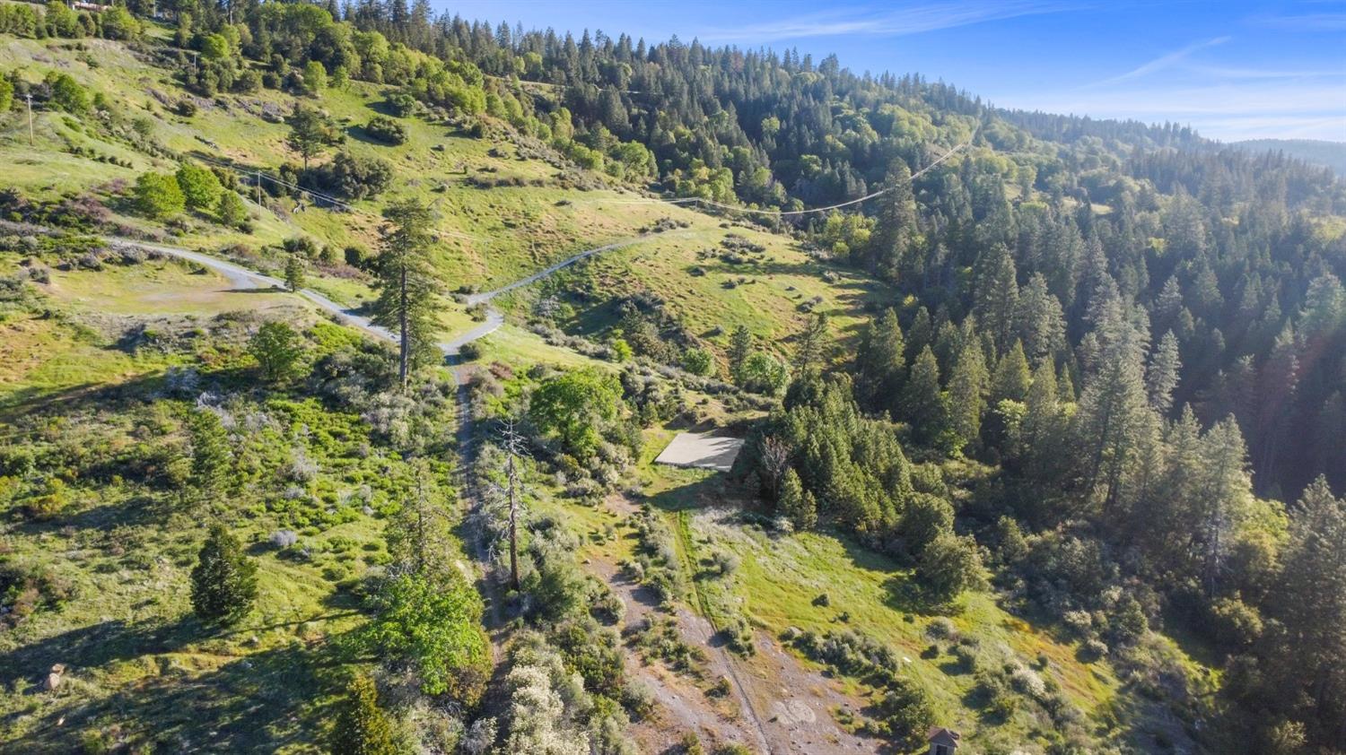 5281 8 Mile Road Camino, CA 95709 - Photo 3 of 20 a view of a forest with a mountain