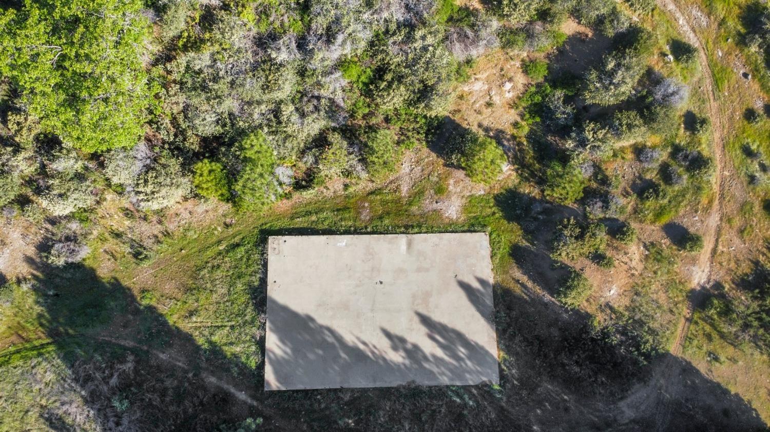 5281 8 Mile Road Camino, CA 95709 - Photo 4 of 20 a view of a yard