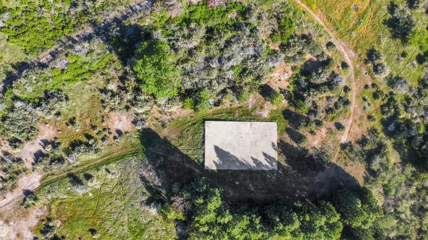 5281 8 Mile Road Camino, CA 95709 - Photo 5 of 20 a view of tree