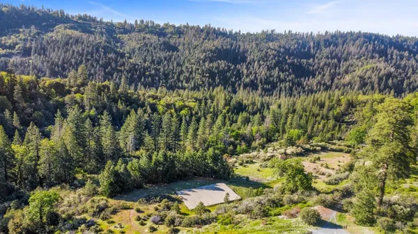 a view of a bunch of trees
