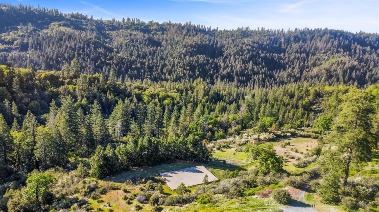 5281 8 Mile Road Camino, CA 95709 - Photo 6 of 20 a view of a bunch of trees