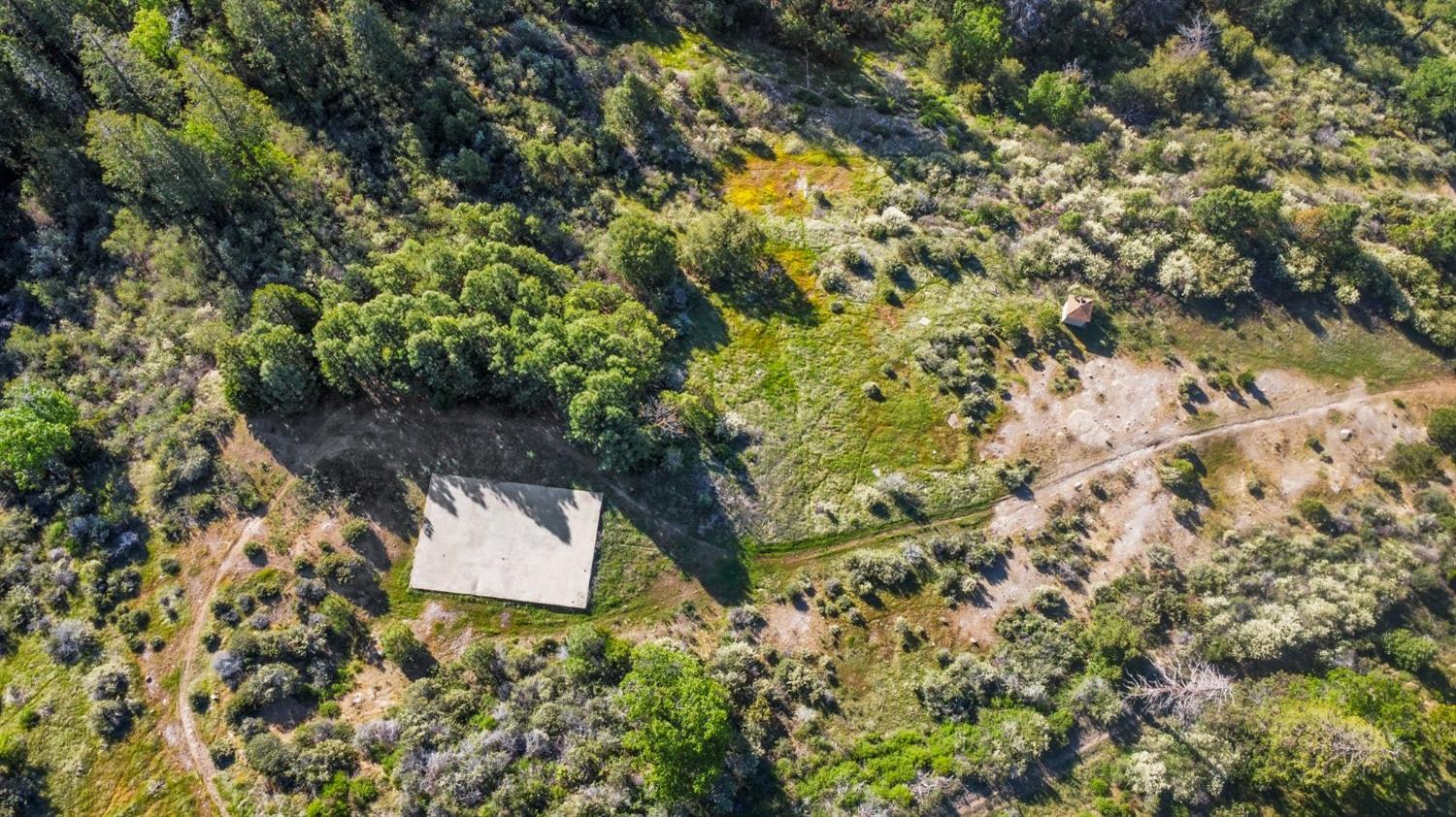 5281 8 Mile Road Camino, CA 95709 - Photo 7 of 20 view of a tree with a yard