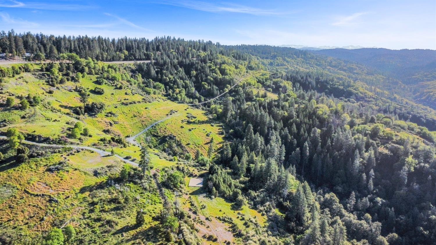 5281 8 Mile Road Camino, CA 95709 - Photo 8 of 20 a view of a yard with a tree