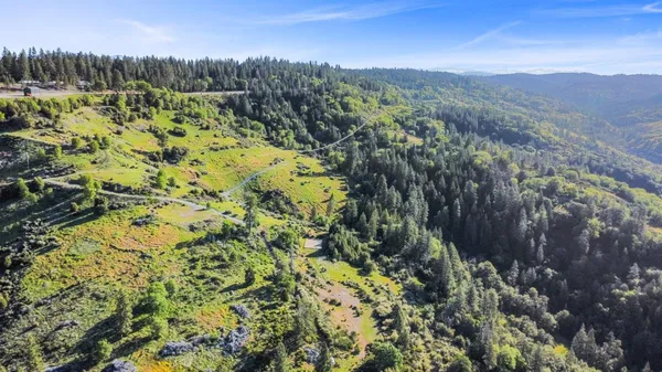 a view of a forest with a mountain
