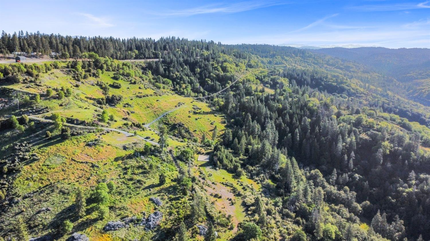 5281 8 Mile Road Camino, CA 95709 - Photo 9 of 20 a view of a forest with a mountain