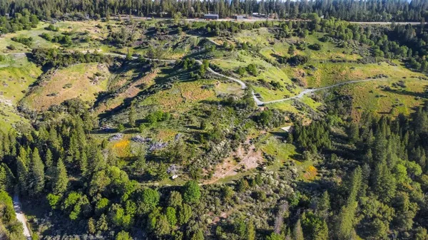 a view of a garden with plants