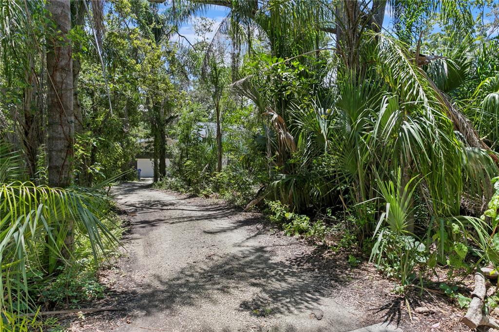 716 Hickory Drive Dunedin, FL 34698 - Photo 51 of 59