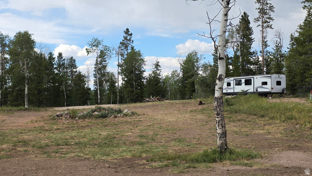 38 Spruce, Unit 38A Evanston, UT 82930 - Photo 5 of 15 Spacious undeveloped land featuring natural grass, mature evergreen trees, and scattered deciduous trees