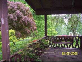 340 Estep Hollow Road Elizabethton, TN 37643 - Photo 3 of 8 Photo 3