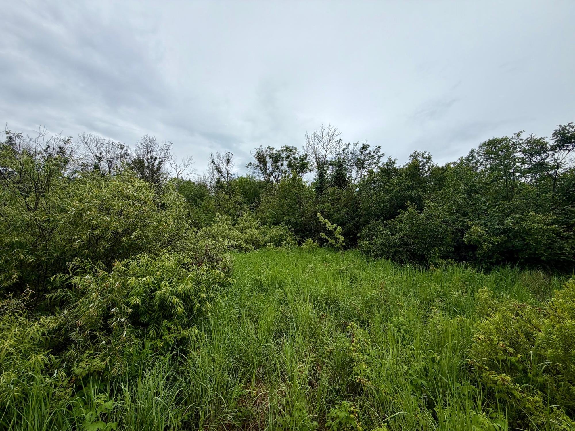 2185 Ahola Road Tripoli, WI 54564 - Photo 20 of 35 Gallery Image 20