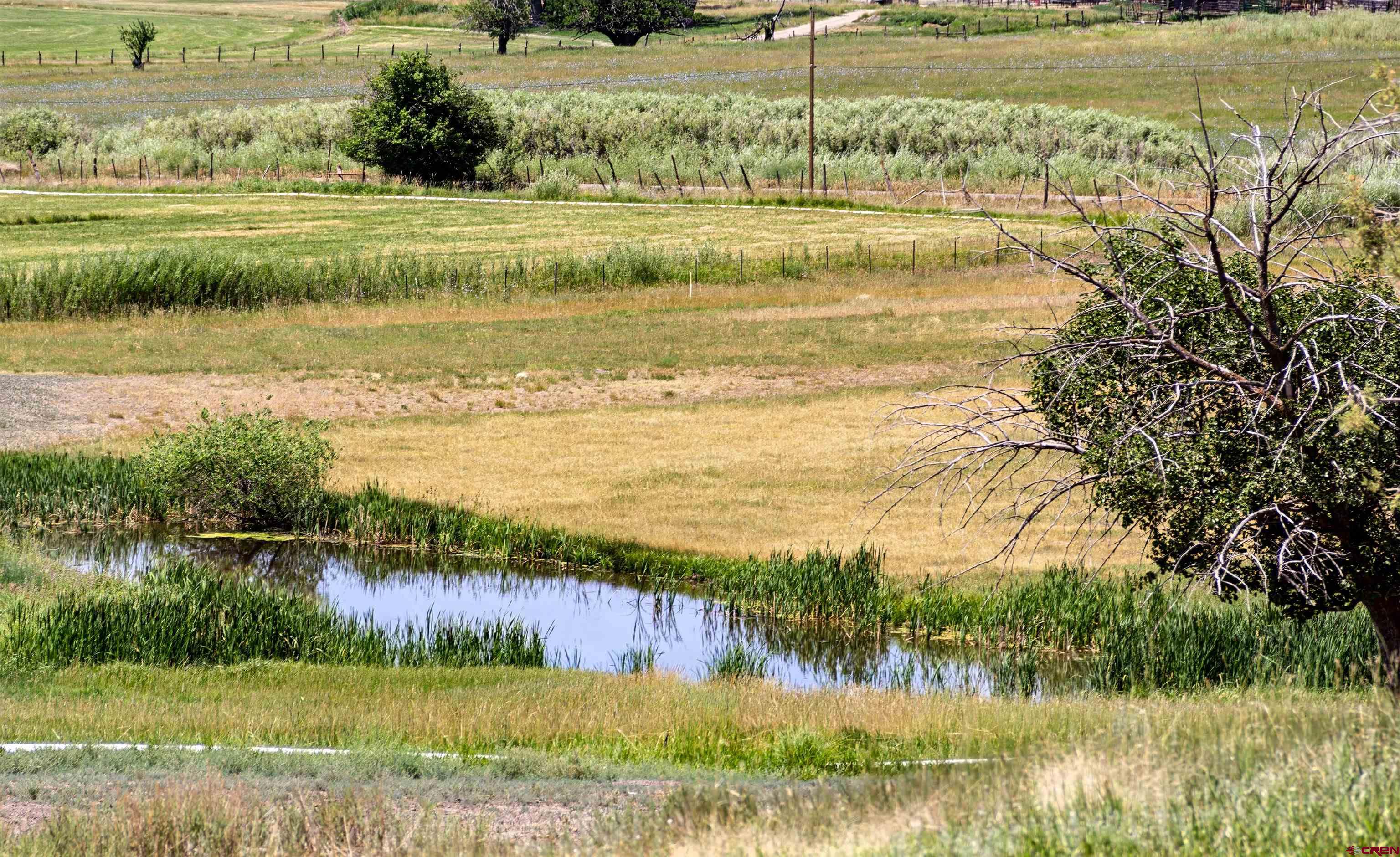 320 County Road 329 Ignacio, CO 81137 - Photo 35 of 45