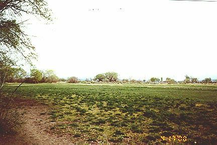 2085 Wildes Road Fallon, NV 89406 - Photo 3 of 3 Gallery Image 3