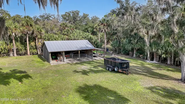 a view of a trees in a yard