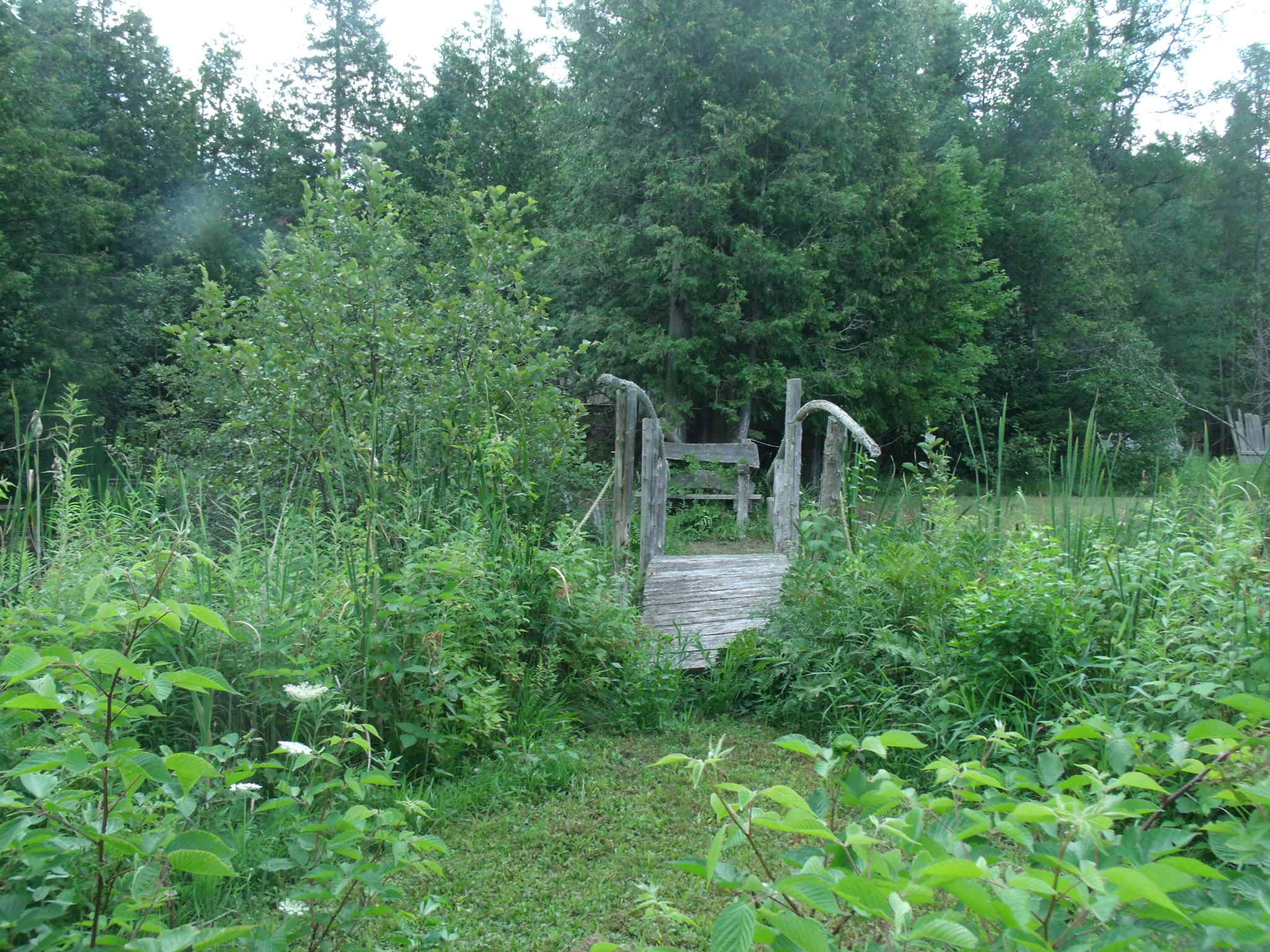 4750 Onaway Road Indian River, MI 49749 - Photo 55 of 102 Gallery Image 55