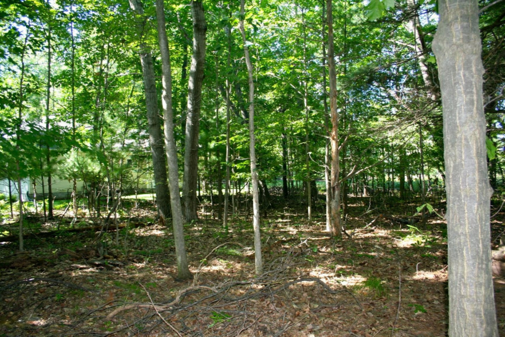7182 River Ridge Road, Unit 270 Canadian Lakes, MI 49346 - Photo 3 of 5 IMG_7545