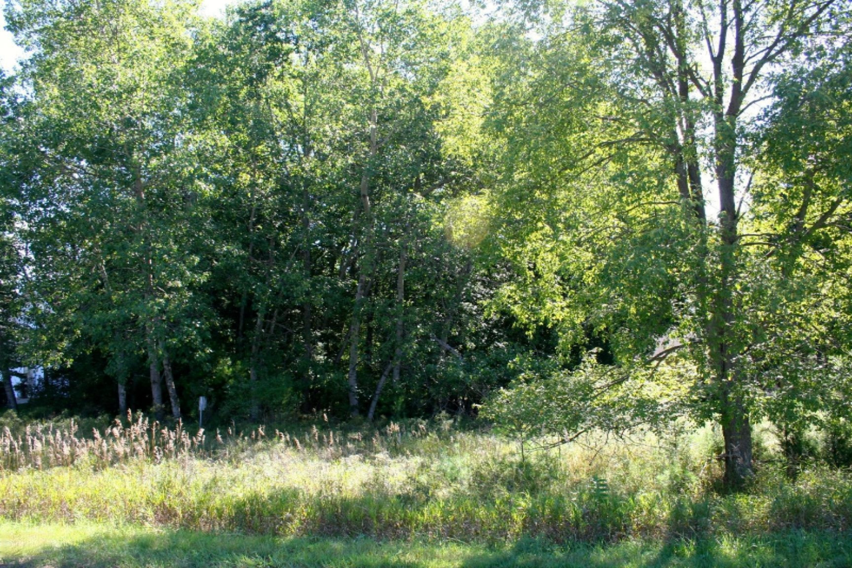 7182 River Ridge Road, Unit 270 Canadian Lakes, MI 49346 - Photo 4 of 5 IMG_7537