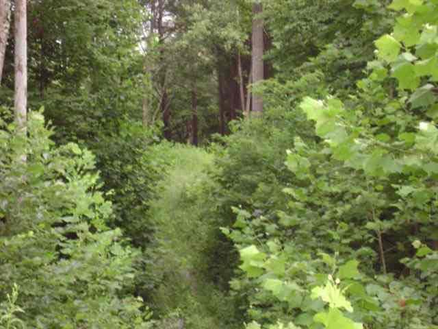 Winters Salem, IN 47167 - Photo 2 of 4 Gallery Image 2