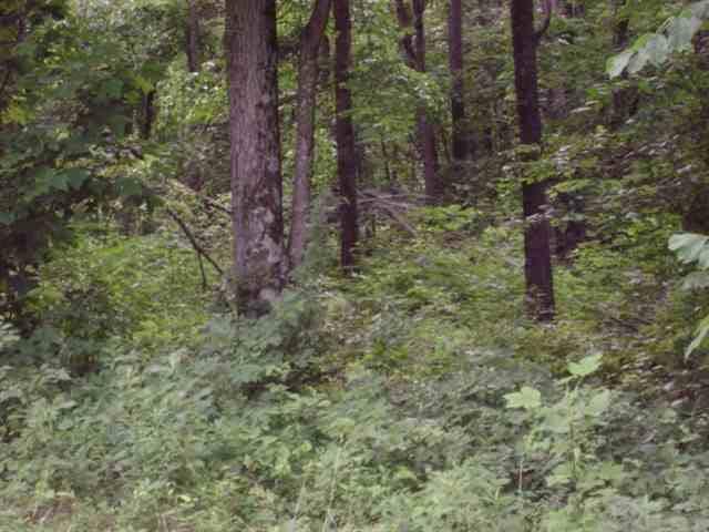 Winters Salem, IN 47167 - Photo 3 of 4 Gallery Image 3