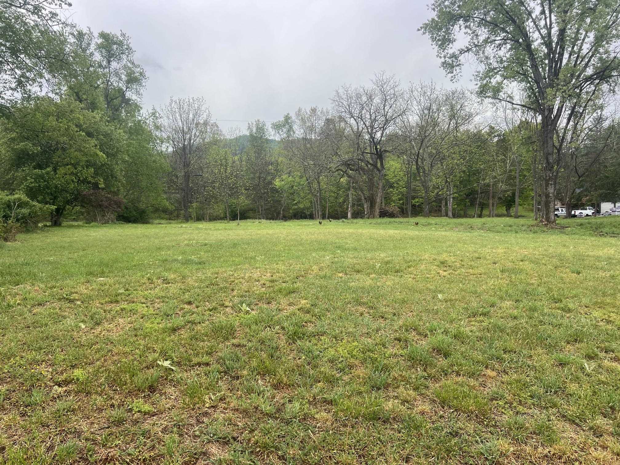 Tbd Cold Springs Road Raphine, VA 24472 - Photo 2 of 4