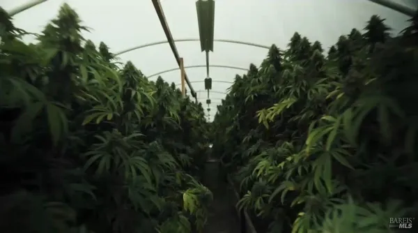 $549,000 | 19450 Tomki Road, Willits, CA 95490