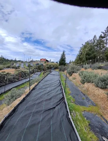 $549,000 | 19450 Tomki Road, Willits, CA 95490