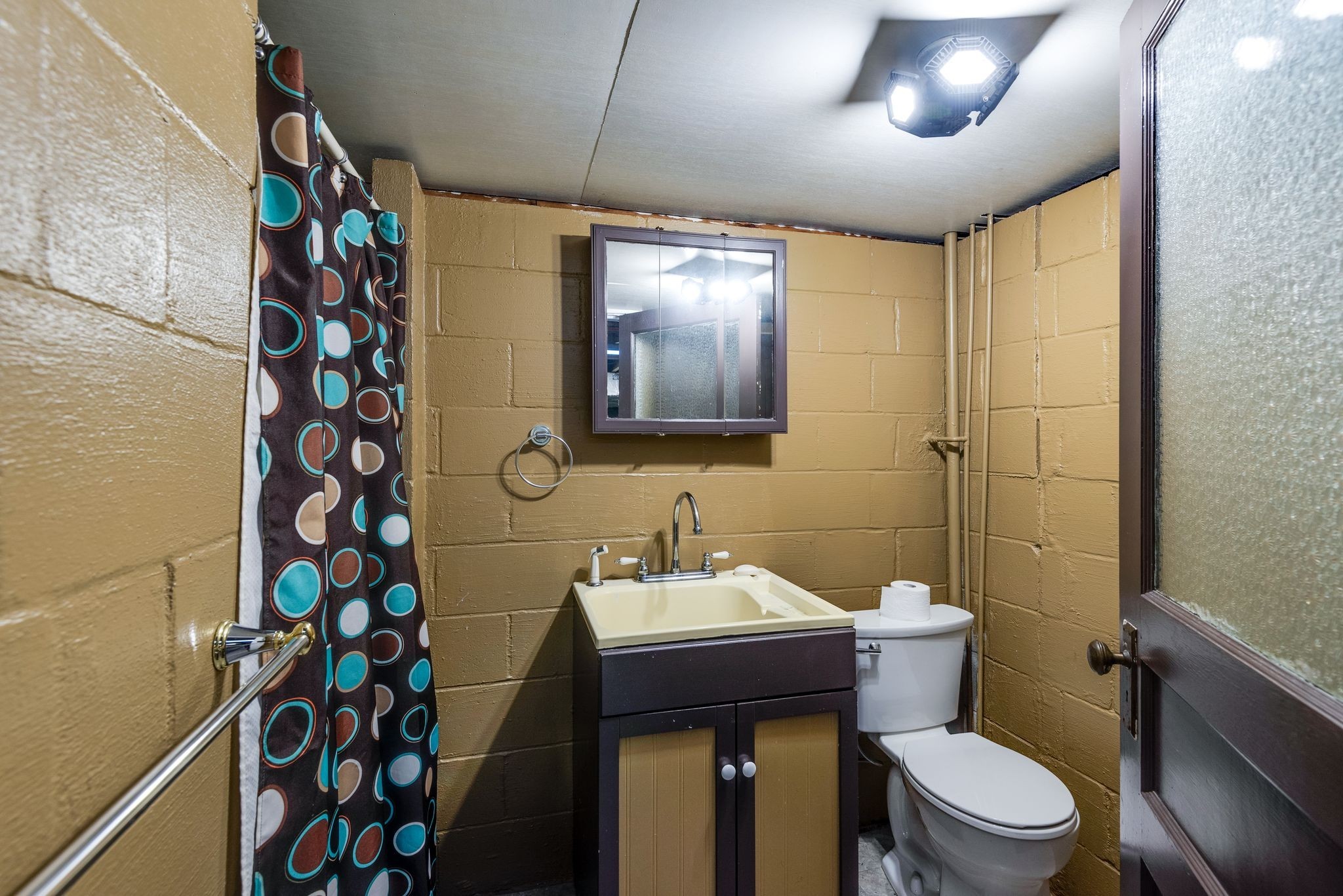 111 Proffitt Street Carthage, TN 37030 - Photo 32 of 38 a bathroom with a toilet a sink and a mirror