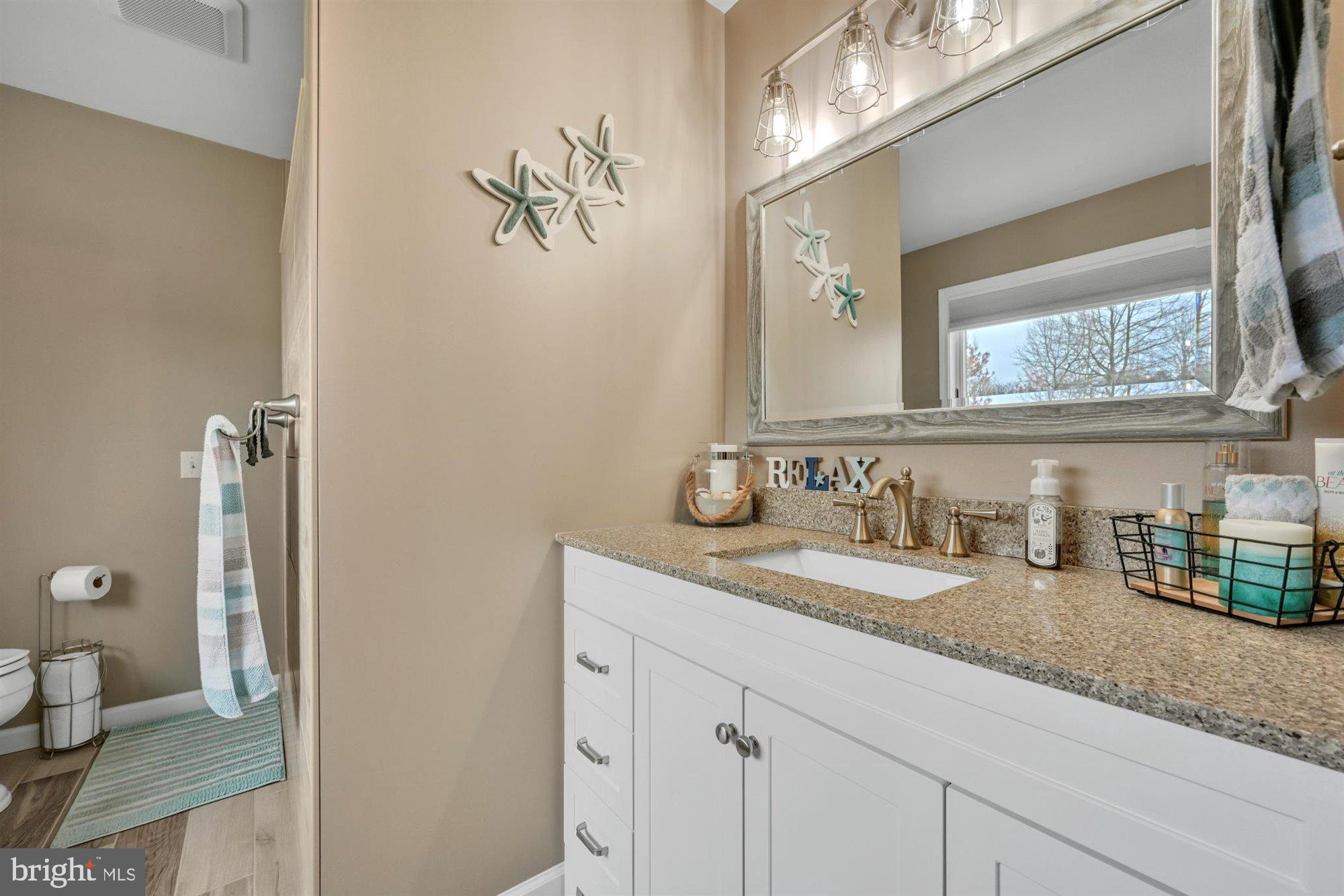 176 Mountain View Road Mount Holly Springs, PA 17065 - Photo 21 of 43 Newly remodeled Primary Bath has super features