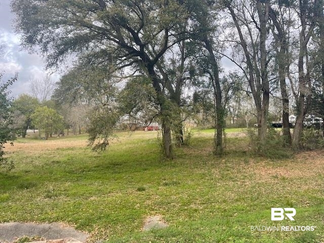 9150 Northfield Road Semmes, AL 36575 - Photo 13 of 16