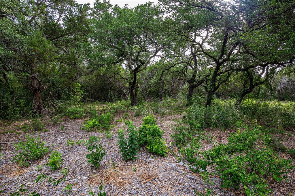 Tbd Gholson Road Waco, TX 76705 - Photo 8 of 17
