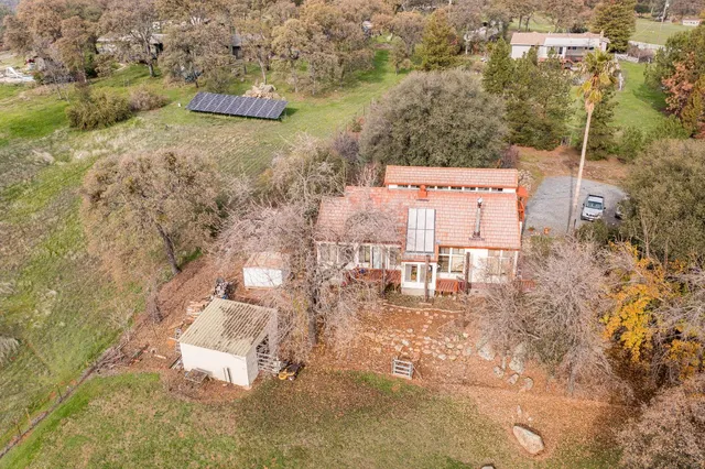 a close up of a tree