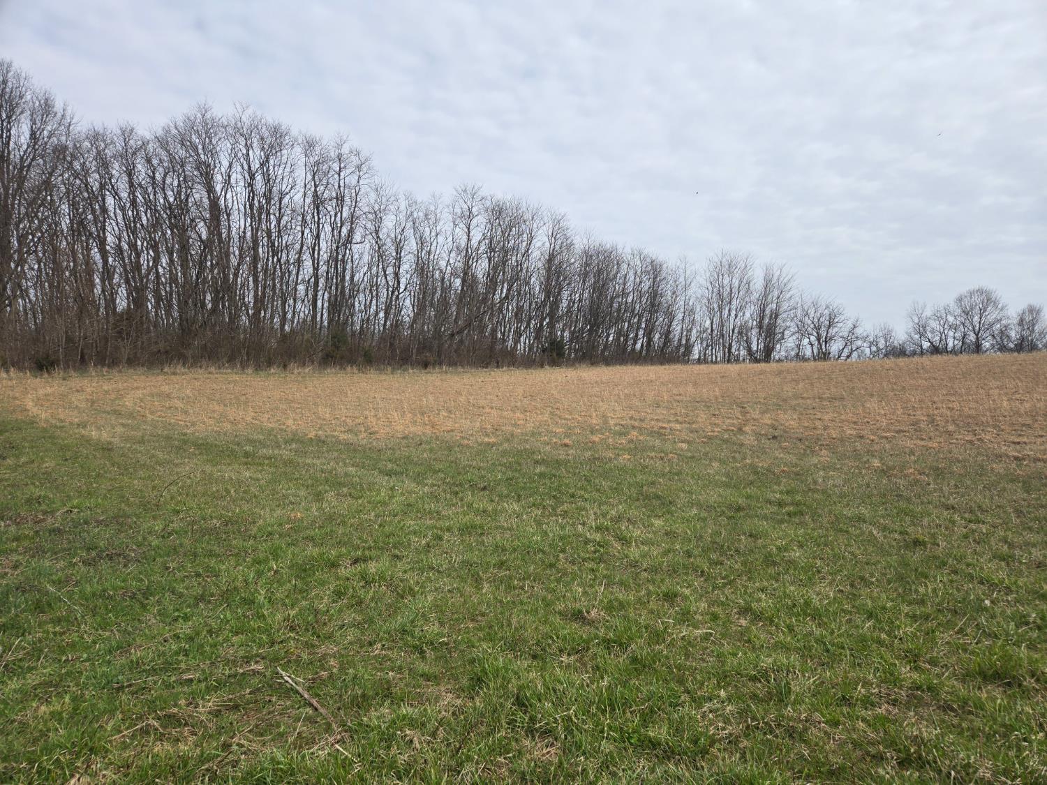 48 Mettle Road Laurel, IN 47024 - Photo 7 of 23
