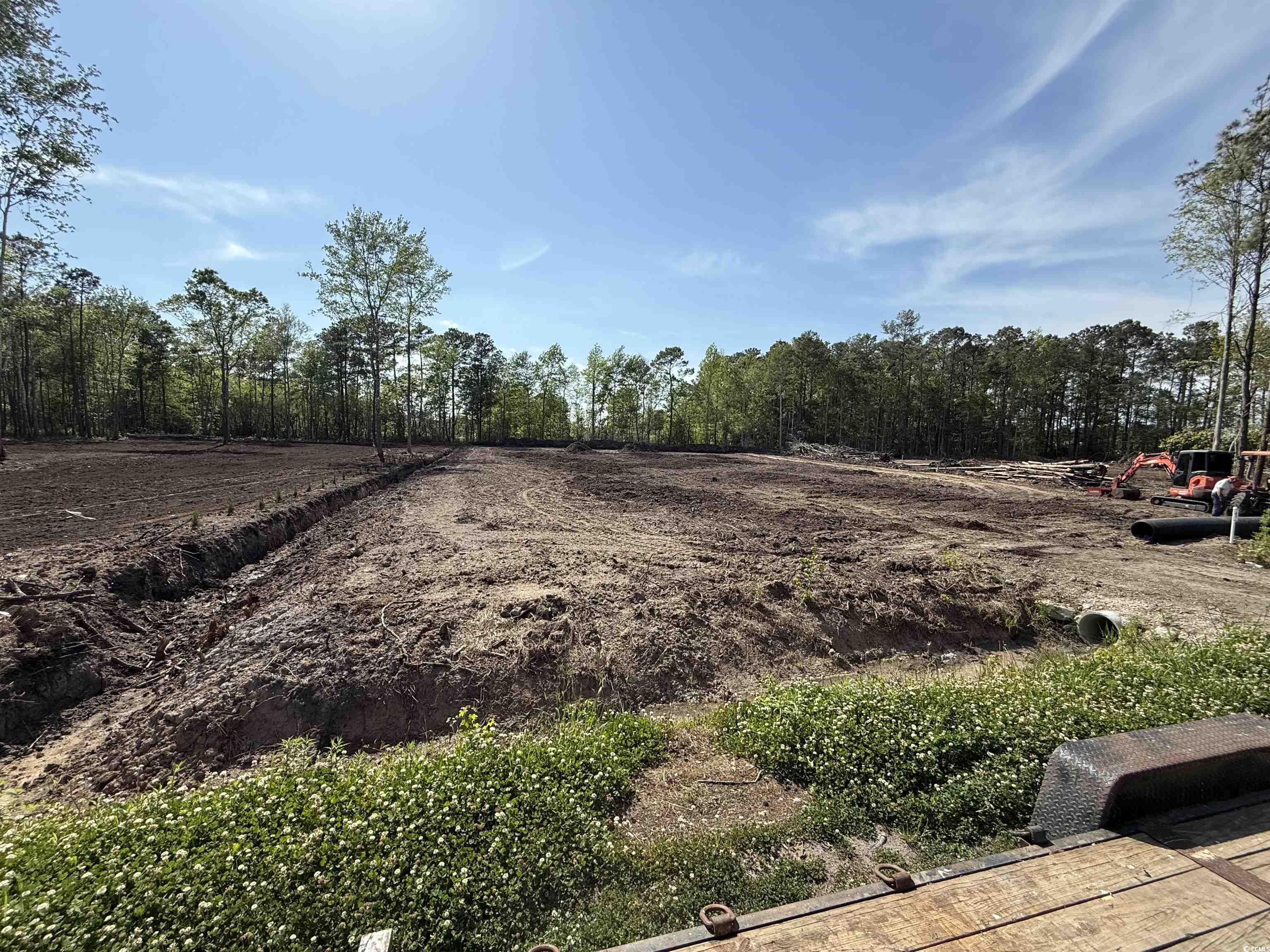 116 Dave Carr Court Myrtle Beach, SC 29588 - Photo 2 of 9 View of yard
