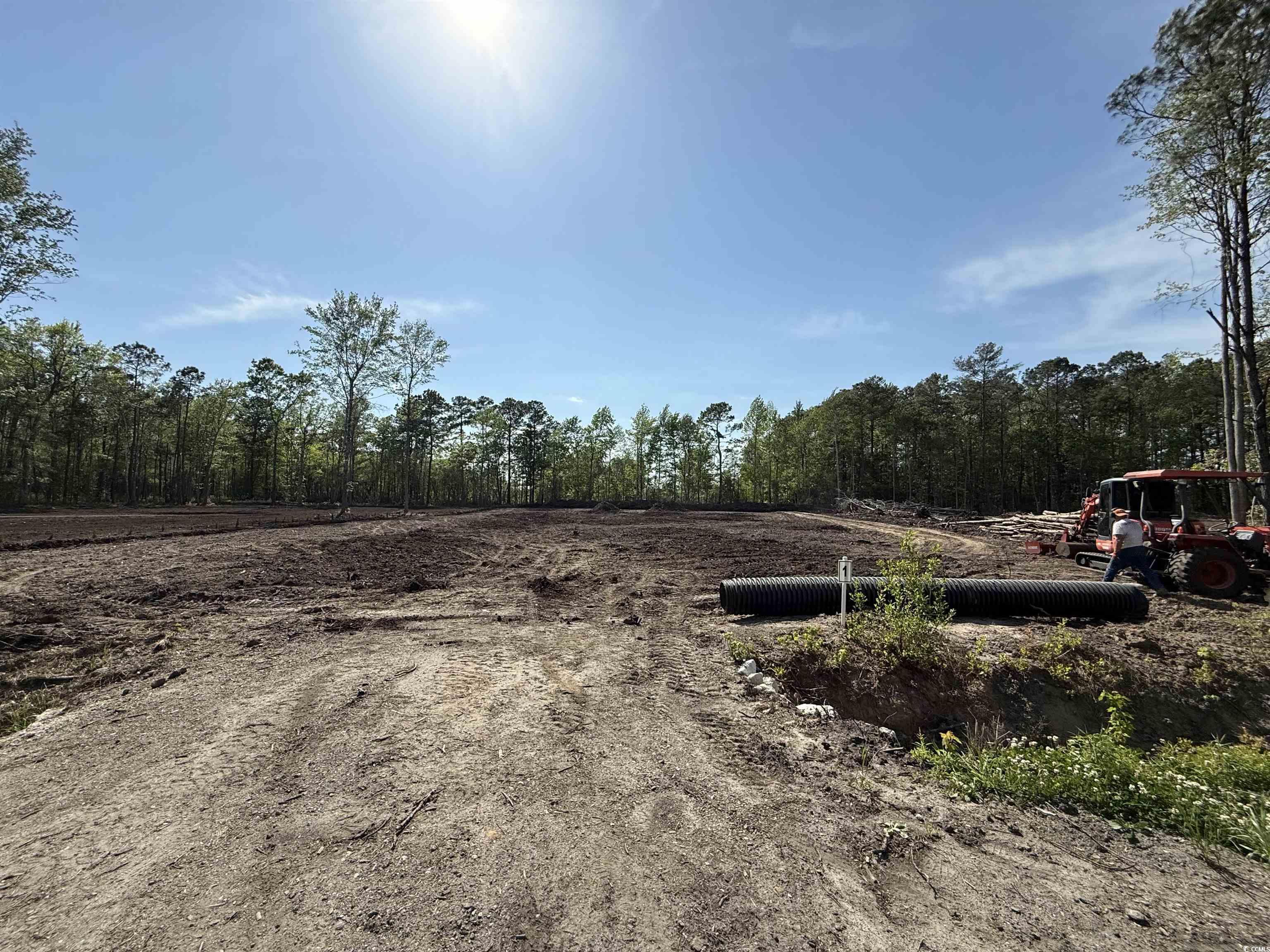 116 Dave Carr Court Myrtle Beach, SC 29588 - Photo 3 of 9 View of yard with a forest view