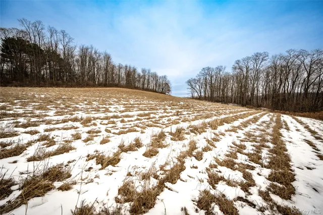 $369,000 | 3807 Highway 199, Pine Plains, NY 12546