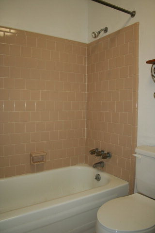 366 Kings Bridge Road Martinez, GA 30907 - Photo 13 of 18 Spare bath
