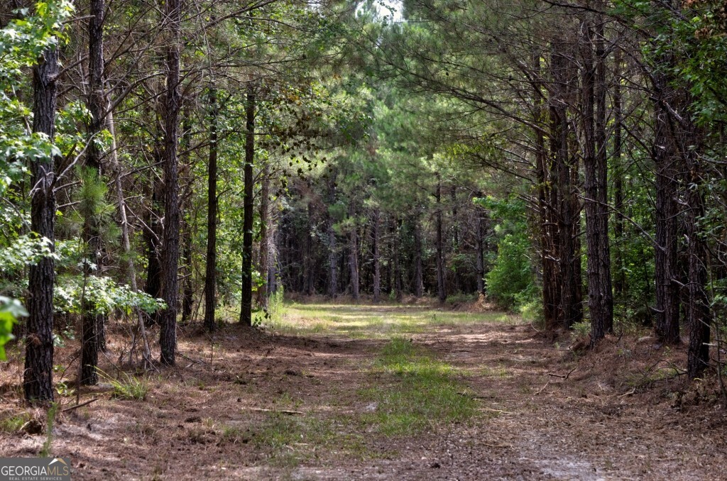 0 Highway 204 & Carlos Cowart Road Pembroke, GA 31321 - Photo 41 of 47