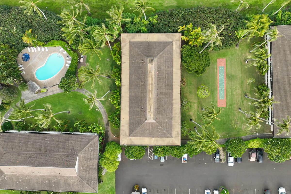 525 Aleka Loop, Unit E3 Kapaa, HI 96746 - Photo 18 of 23 an aerial view of a house with a yard and large tree