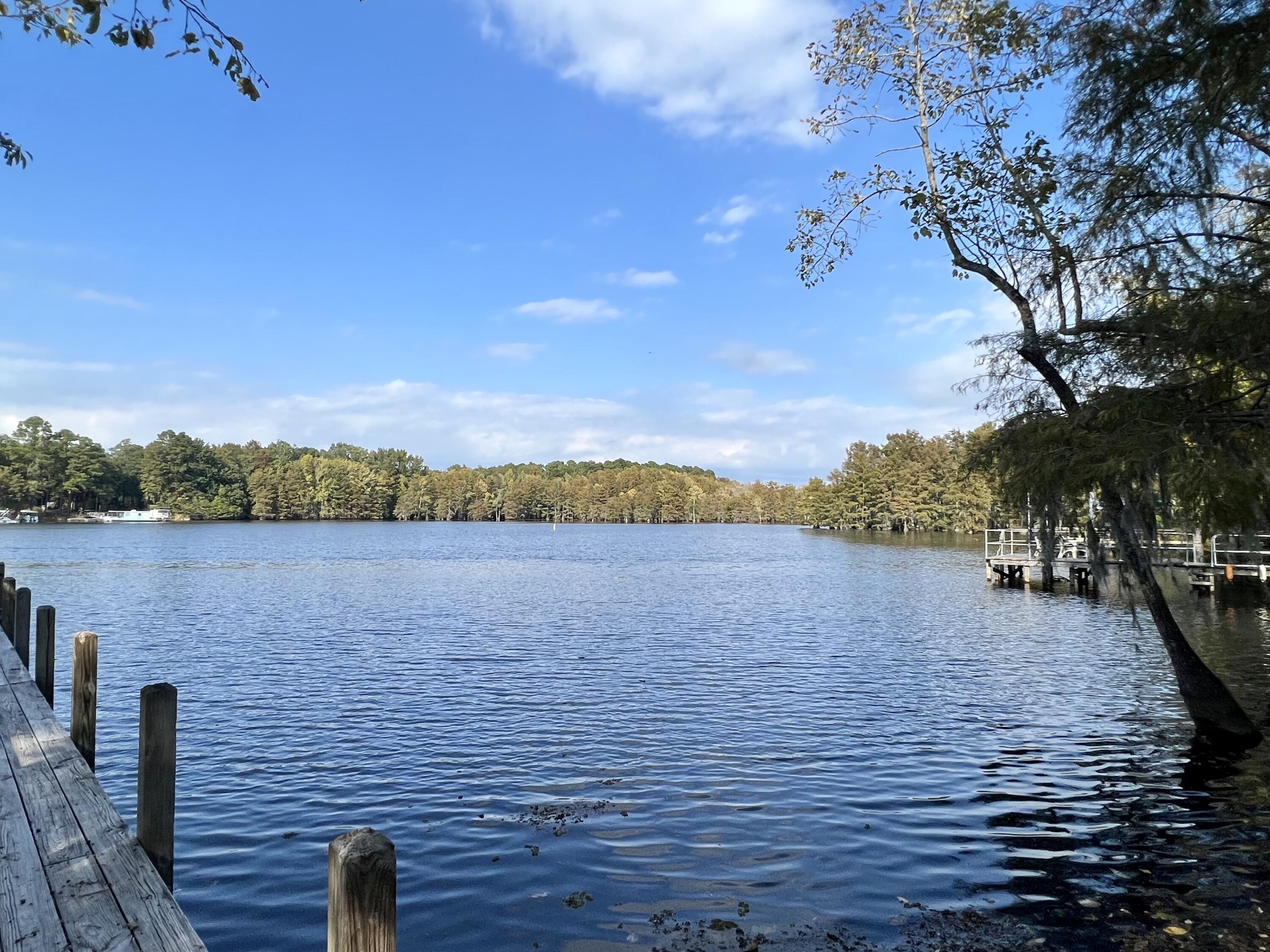 1948 Princess Pond Road Summerton, SC 29148 - Photo 11 of 27 IMG_6301