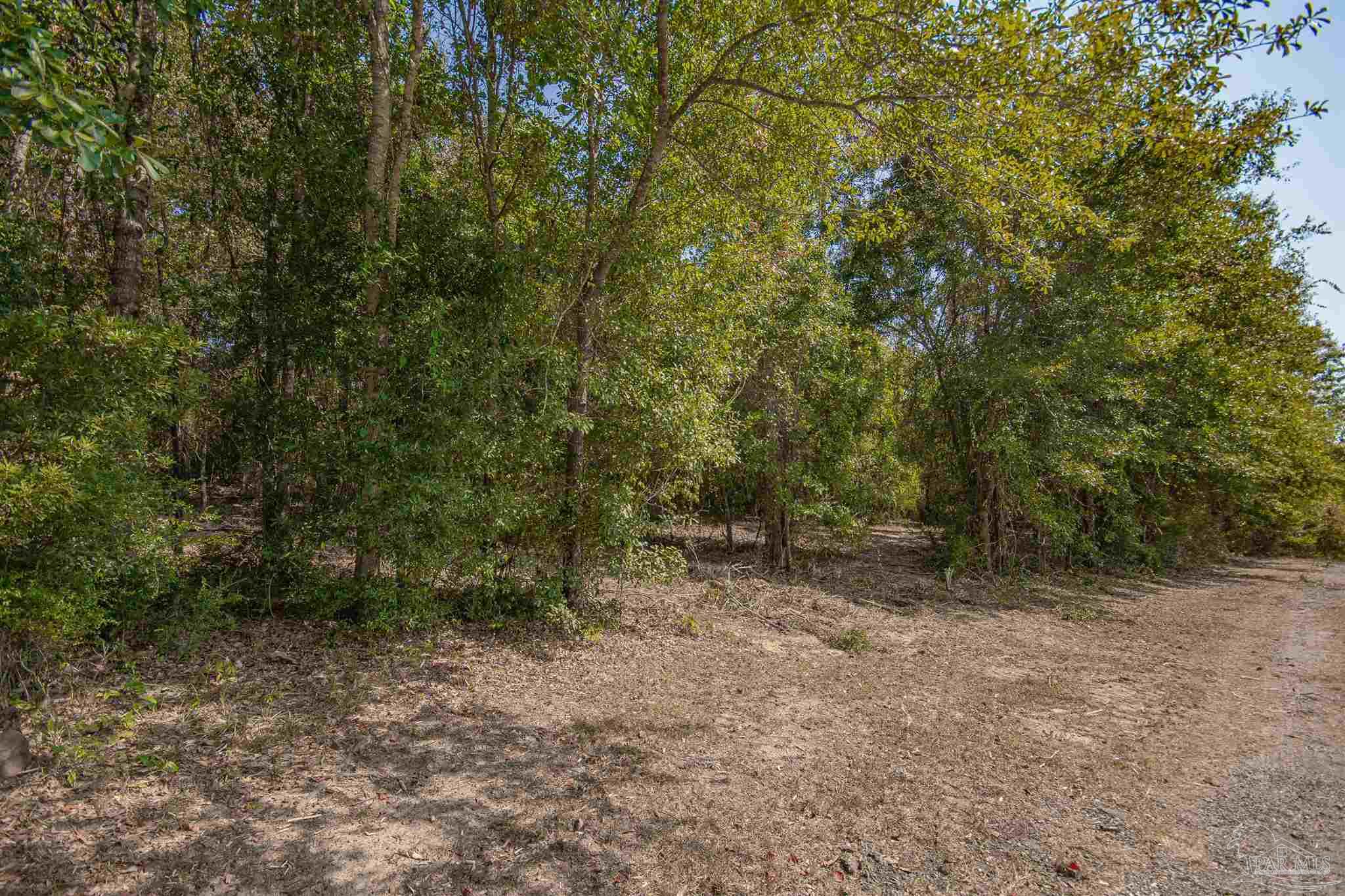 3200 Schifko Road Cantonment, FL 32533 - Photo 3 of 11