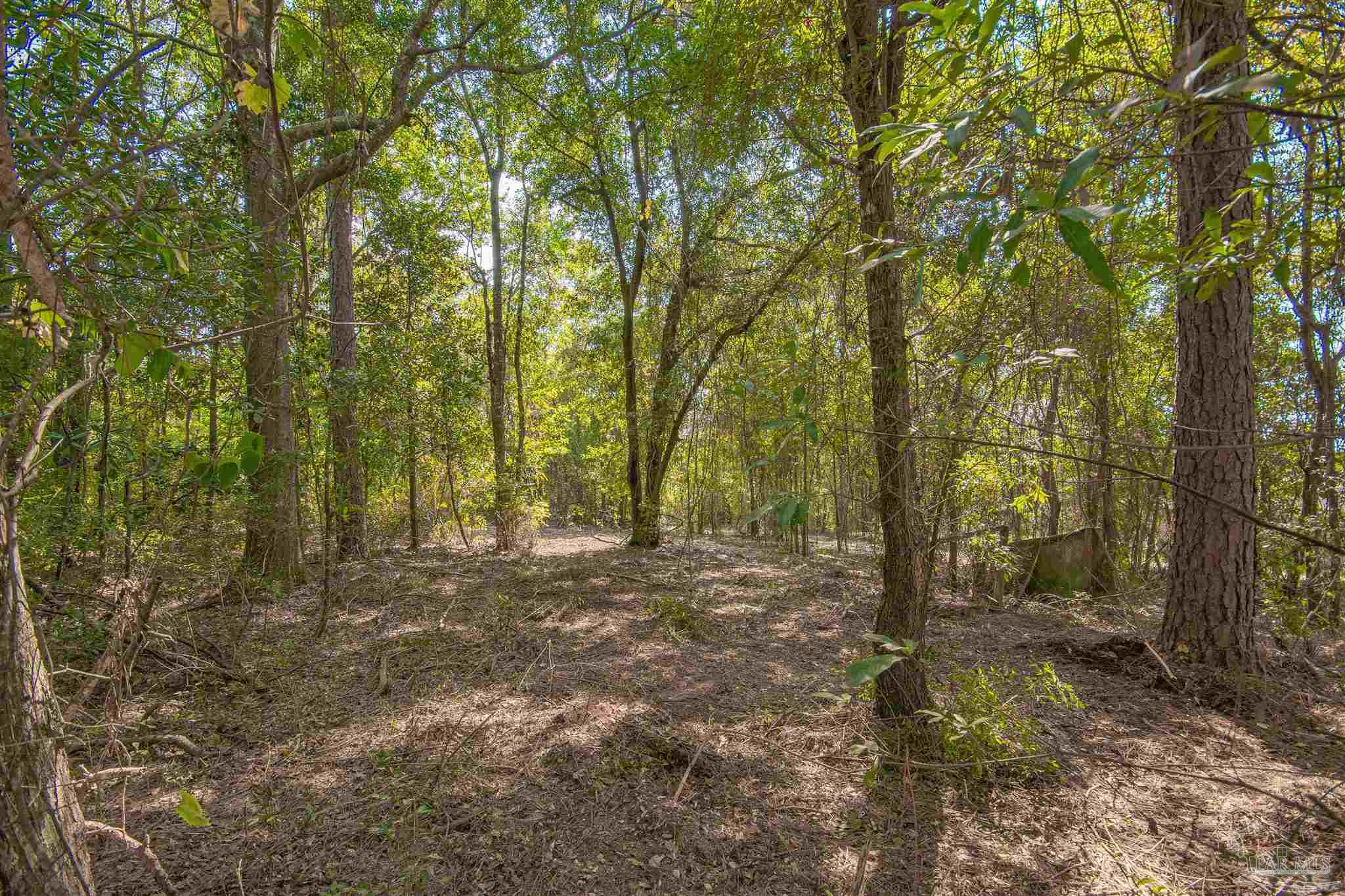 3200 Schifko Road Cantonment, FL 32533 - Photo 8 of 11