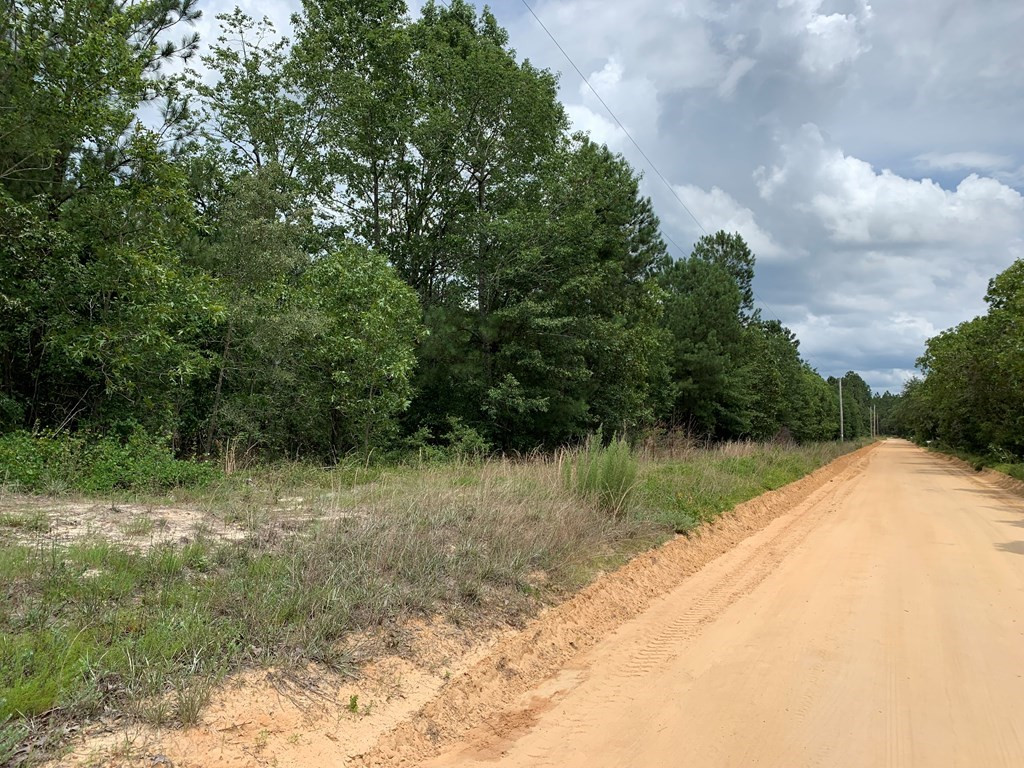 0 Paul Road Monetta, SC 29105 - Photo 3 of 14
