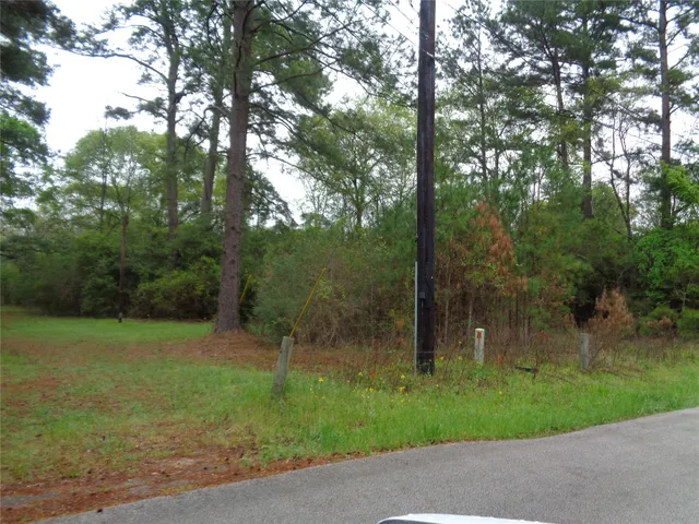 $120,000 | 1223 Virgie Community Road, Magnolia, TX 77354