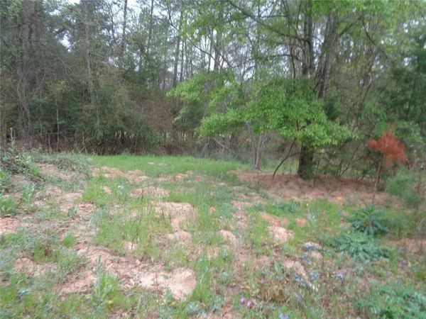 $120,000 | 1223 Virgie Community Road, Magnolia, TX 77354