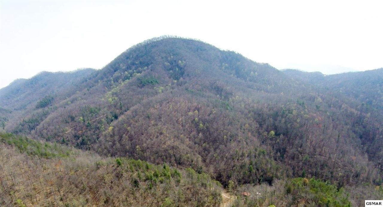 3 Carrs Creek Road Townsend, TN 37882 - Photo 1 of 4 Gallery Image 1
