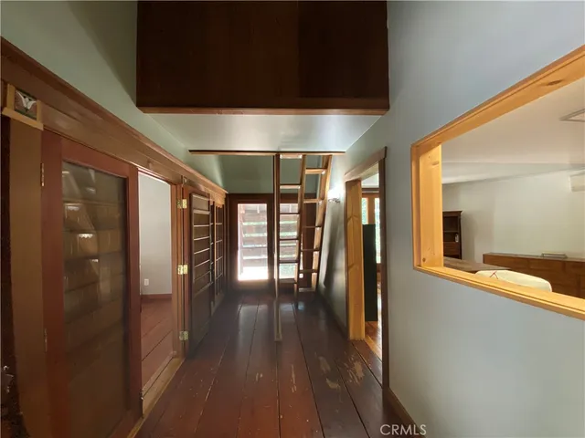 a outdoor view covered with tall trees