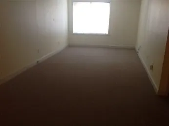 a view of a backyard with large trees